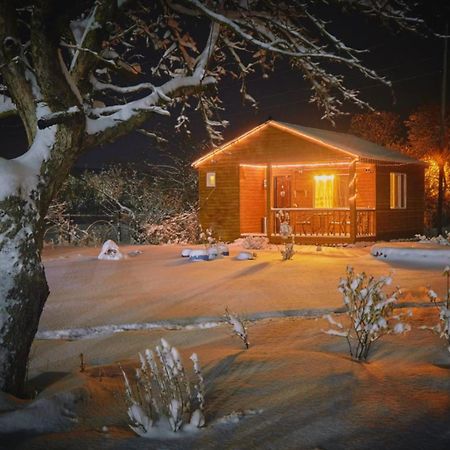 Family Hotel Maia - Cемейная Гостиница Майя Dashbashi ภายนอก รูปภาพ