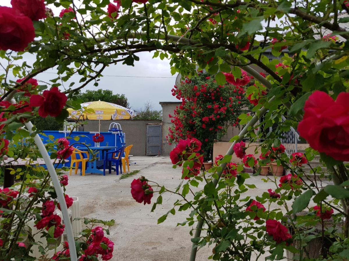 Family Hotel Maia - Cемейная Гостиница Майя Dashbashi ภายนอก รูปภาพ